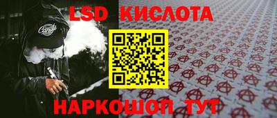 дмт Аргун