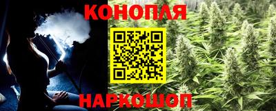 дмт Аргун