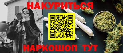 дмт Аргун