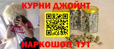 дмт Аргун