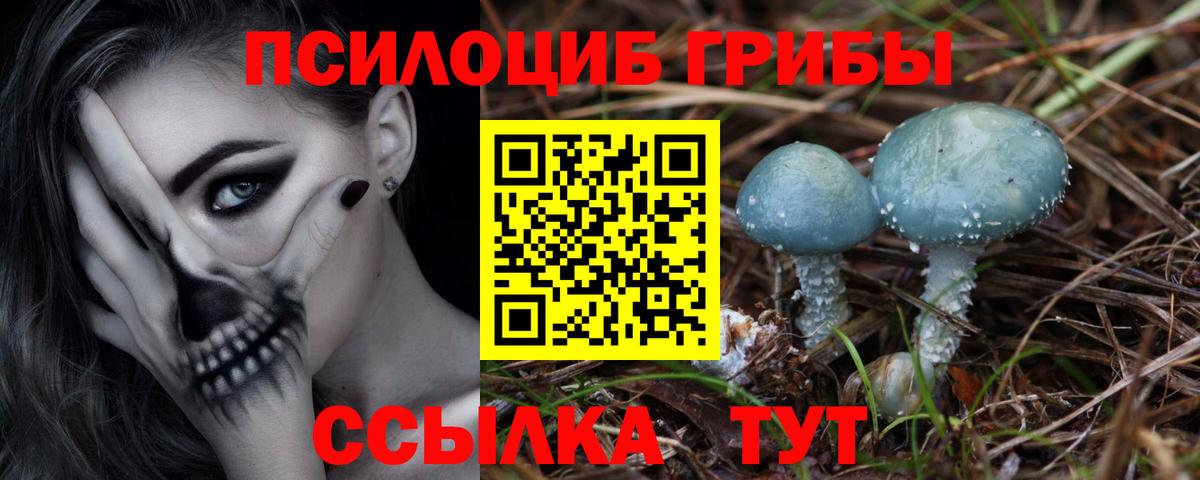 Галлюциногенные грибы Cubensis Видное